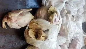 ۲۱ تن مواد غذایی فاسد در کردستان منهدم شد