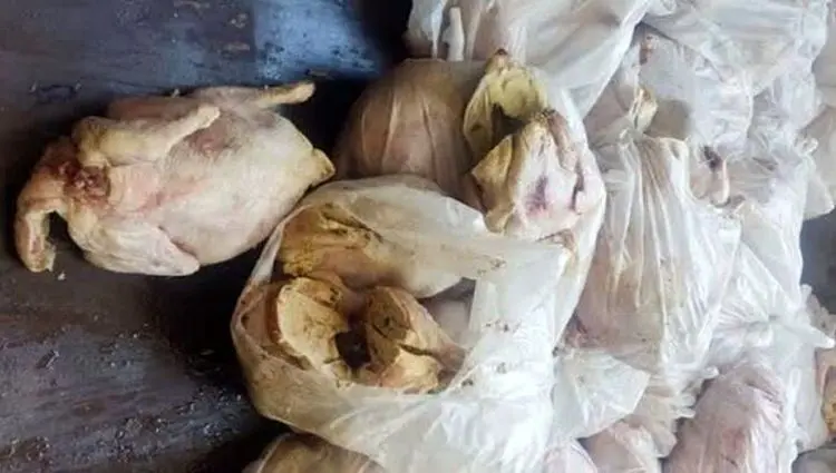 ۲۱ تن مواد غذایی فاسد در کردستان منهدم شد