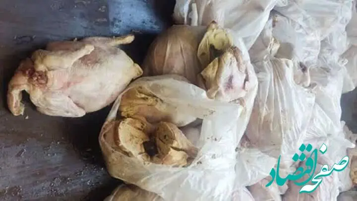 ۲۱ تن مواد غذایی فاسد در کردستان منهدم شد