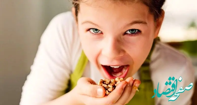 چه زمانی گردو بخوریم بهتر است؟