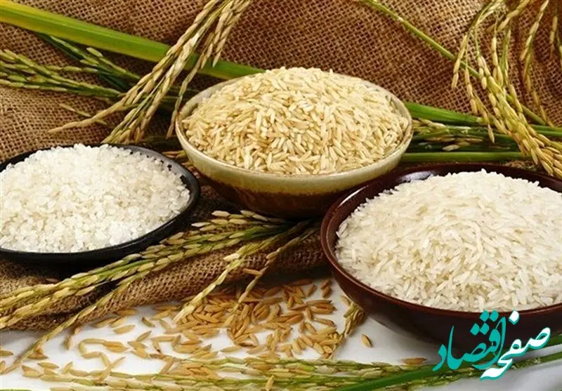 توزیع گسترده برنج ۵۶ تا ۷۰ هزار تومانی آغاز شد