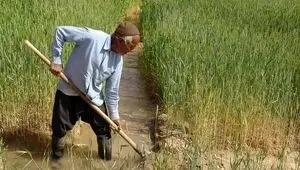 پرداخت ۱۵۰ میلیارد تومان غرامت به این کشاورزان 