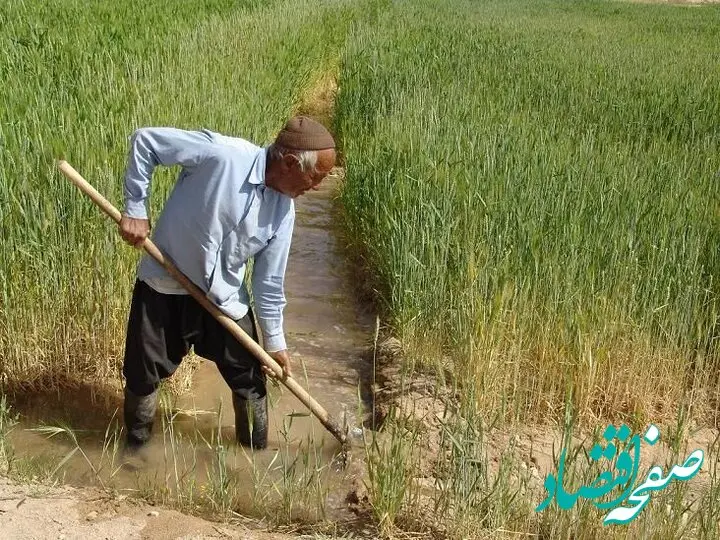 پرداخت ۱۵۰ میلیارد تومان غرامت به این کشاورزان 