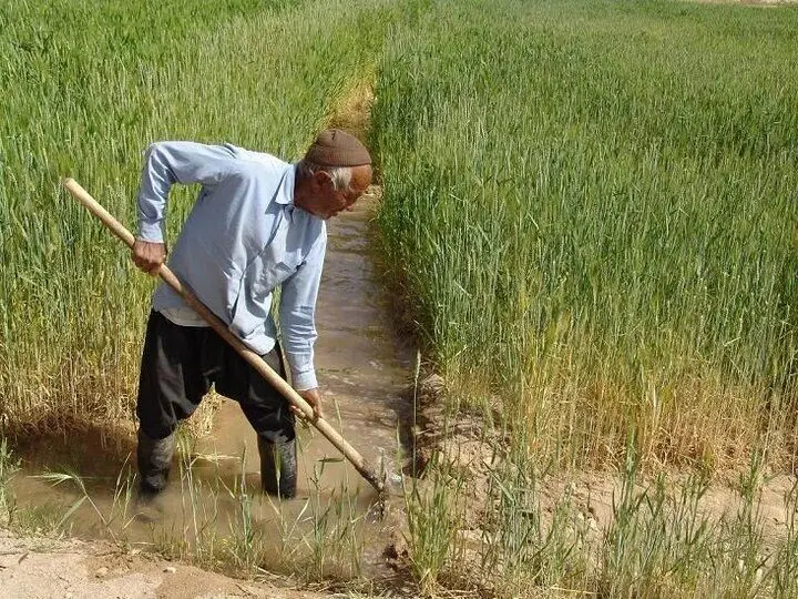 پرداخت ۱۵۰ میلیارد تومان غرامت به این کشاورزان 