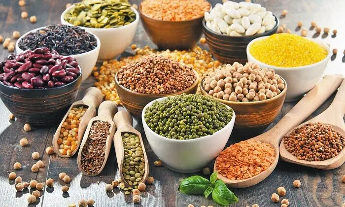 قیمت حبوبات امروز چهارشنبه ۲ اسفند ماه ۱۴۰۲ + قیمت لوبیا قرمز و گندم 