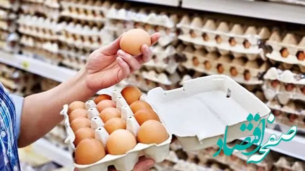 قیمت تخم مرغ امروز یکشنبه ۱۴ آبان ۱۴۰۲ | نرخ منطقی هرکیلو تخم مرغ درب مرغداری ۵۸ هزارتومان است