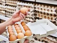 عرضه تخم مرغ  ۱۵درصد زیر قیمت تصویب شده همچنان ادامه دارد