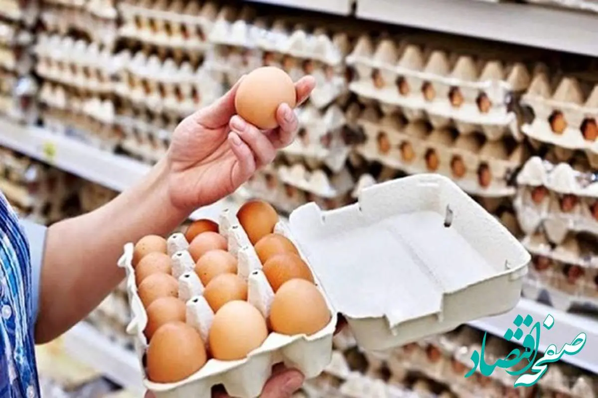 عرضه تخم مرغ  ۱۵درصد زیر قیمت تصویب شده همچنان ادامه دارد