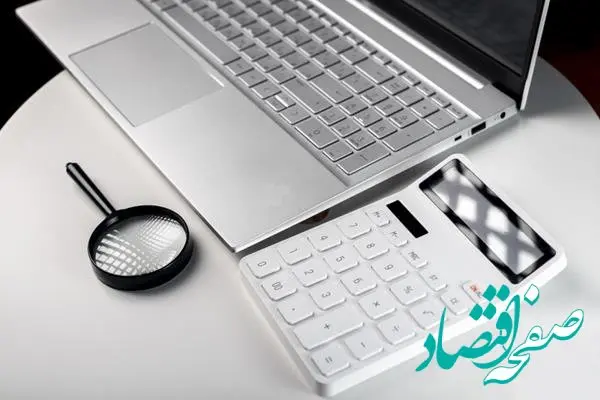 پرونده سنگین فرار مالیاتی/ کشف تخلف 21 میلیاردی در یک شرکت نرم‌افزاری