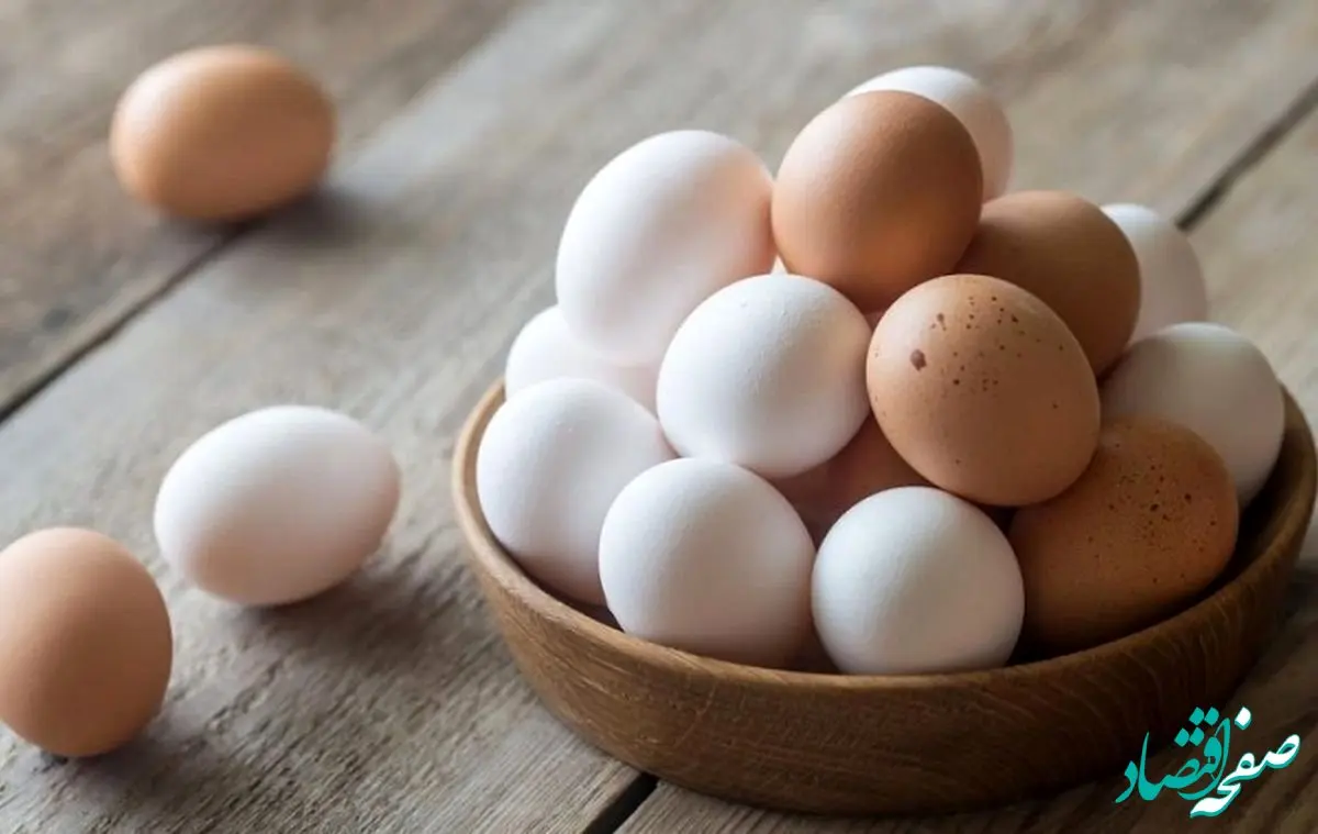 تخم مرغ چند؟ قیمت تخم مرغ امروز یکشنبه ۲۱ مرداد ۱۴۰۳