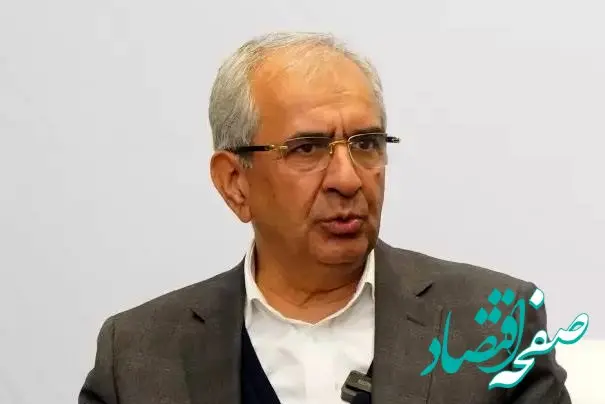 دولت در تصمیم گیری‌های اقتصادی دخالت نکند / وظیفه دولت نظارت است و باید  قبل از تصمیم‌گیری با بخش خصوصی مذاکره کند