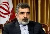 آخرین اخبار از وضعیت نیروگاه بوشهر؛ پروژه مشترک ایران و روسیه