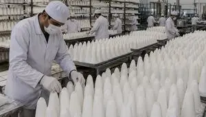 جزئیات جدید درباره صادرات قند اعلام شد