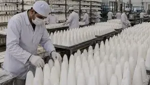 جزئیات جدید درباره صادرات قند اعلام شد