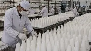 جزئیات جدید درباره صادرات قند اعلام شد