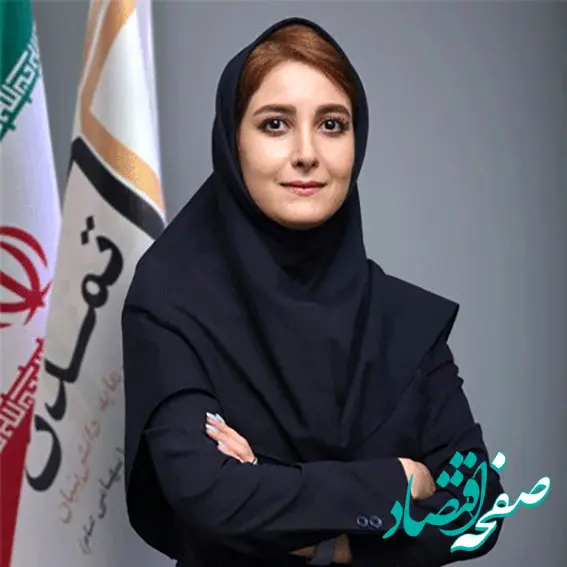 ریسک‌های مترتب بر صنعت تأمین سرمایه