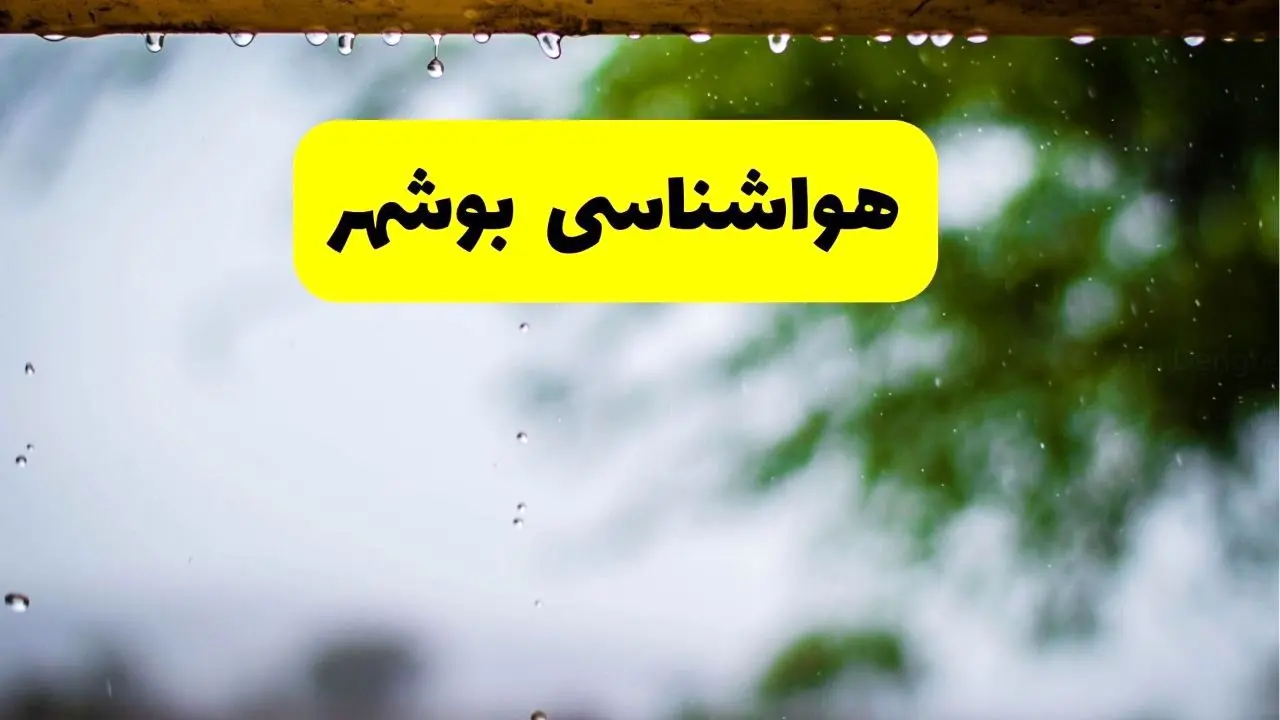 هواشناسی بوشهر شنبه ۲۷ اردیبهشت ۱۴۰۴ | پیش بینی وضعیت آب و هوا بوشهر فردا ۲۷ اردیبهشت ۱۴۰۴ 