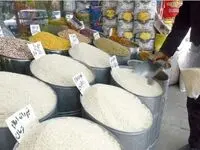 انواع برنج ایرانی هاشمی و طارم کیلویی چند؟/آخرین تغییرات قیمت برنج ایرانی و هندی در بازار امروز سه‌شنبه ۳۰ بهمن ۱۴۰۳