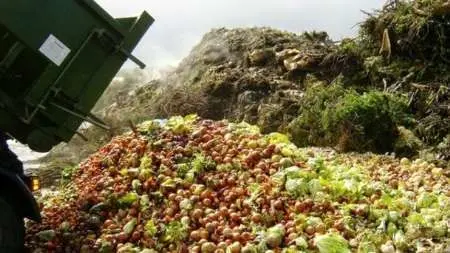 می دانستید یک‌سوم محصولات کشاورزی در ایران به زباله تبدیل می‌شود؟