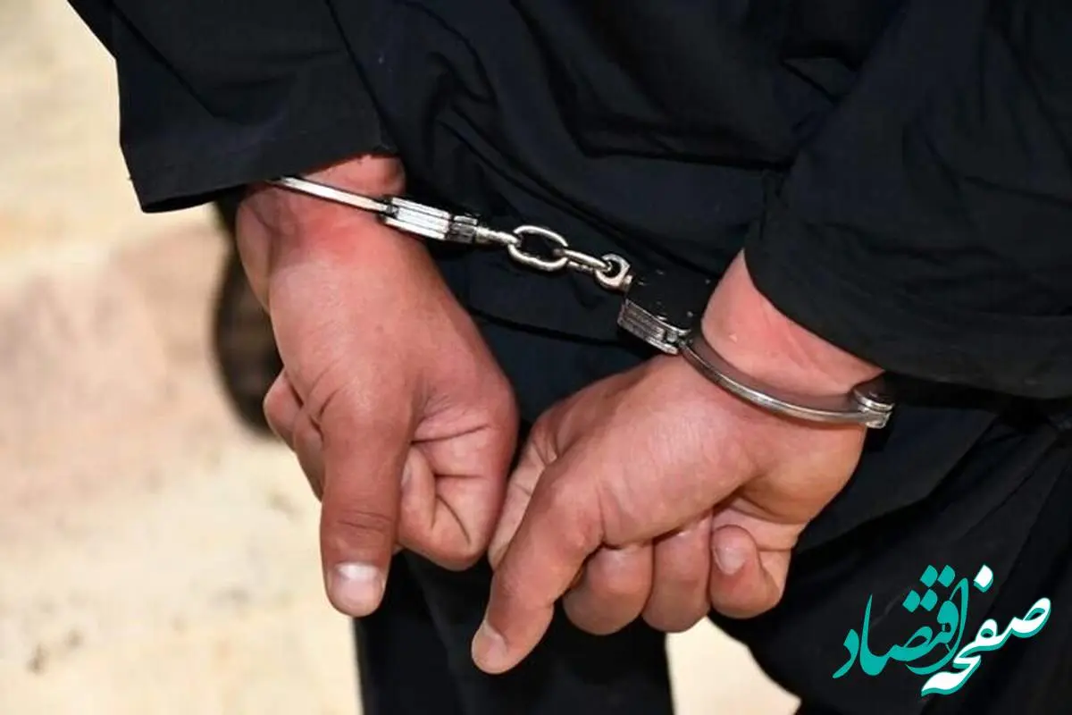 یکی از سرشبکه های اغتشاشگران در پاکدشت دستگیر شد