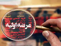 پشت‌ پرده عرضه اولیه بزرگ‌ترین هلدینگ برق کشور | ماجرای پنهان مپنا چیست؟