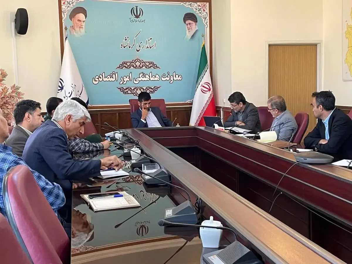 برنامه ریزی برای احیای ۸۵ واحد معدنی راکد استان کرمانشاه