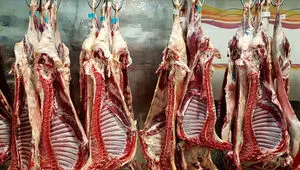 جدول قیمت گوشت امروز پنجشنبه ۸ مرداد ۱۴۰۵ | گوشت گوسفندی چند؟ 