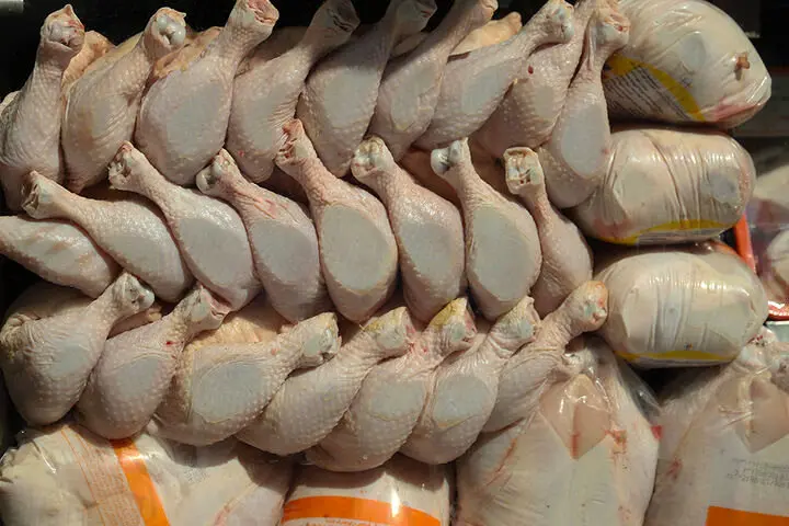 قیمت انواع مرغ امروز جمعه ۲ آذر ۱۴۰۳