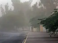 هشدار هواشناسی: وزش باد شدید و احتمال بارش باران و برف در تهران