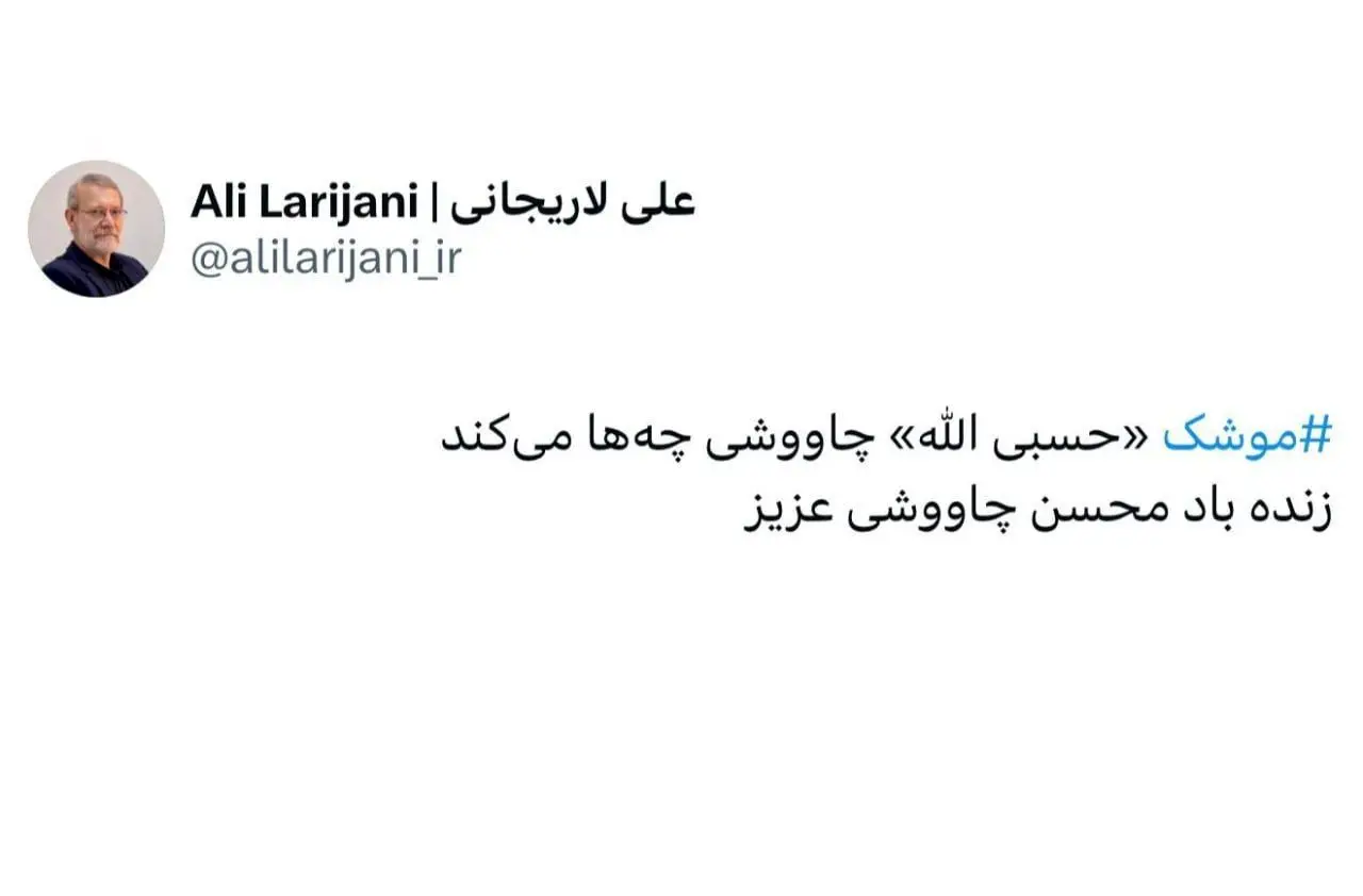 واکنش لاریجانی به آهنگ حسبی الله محسن چاووشی