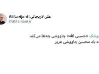 واکنش لاریجانی به آهنگ حسبی الله محسن چاووشی