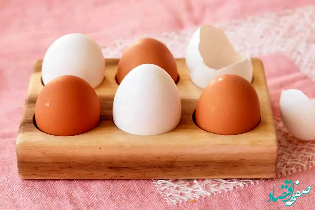 قیمت شانه تخم‌ مرغ امروز چهارشنبه ۱۳ تیر ماه ۱۴۰۳ + جدول