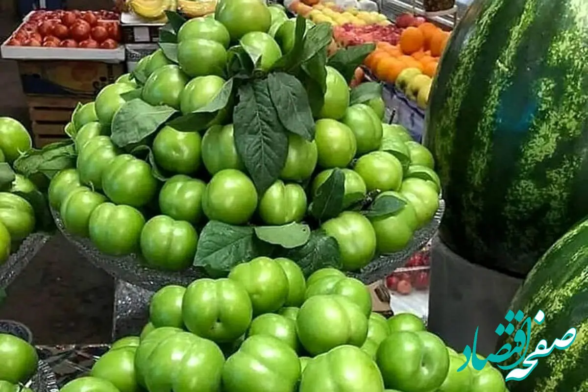 قیمت توت فرنگی و گوجه سبز سر به فلک کشیده!