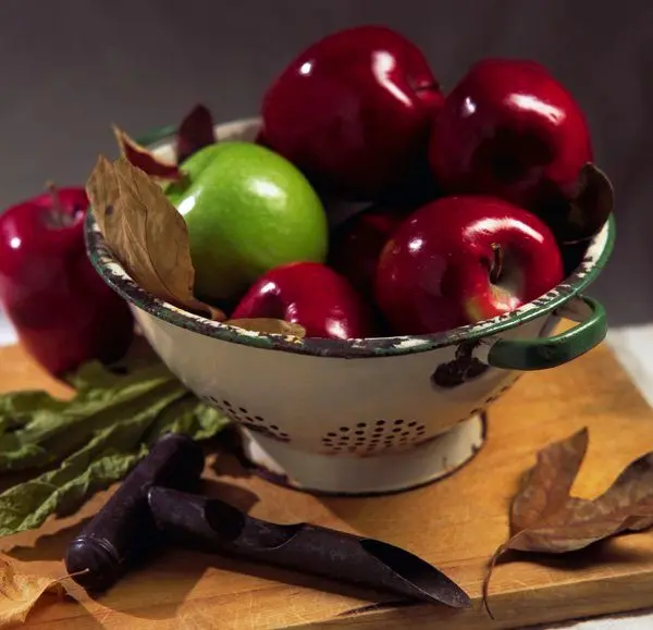 جدول قیمت میوه و تره بار امروز شنبه ۱ دی ۱۴۰۳ در بازار تهران