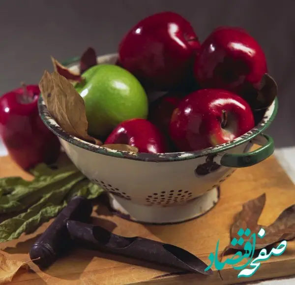 جدول قیمت میوه و تره بار امروز شنبه ۱ دی ۱۴۰۳ در بازار تهران