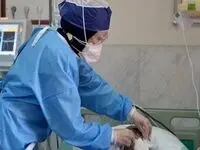 خبر خوب برای پرستاران؛ اضافه‌کاری پرستاران چهار برابر شد