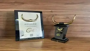 تندیس زرین «جایزه ملی مدیریت مالی ایران» به شرکت صنایع پتروشیمی خلیج‌فارس رسید