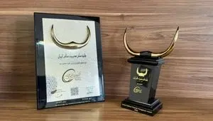 تندیس زرین «جایزه ملی مدیریت مالی ایران» به شرکت صنایع پتروشیمی خلیج‌فارس رسید