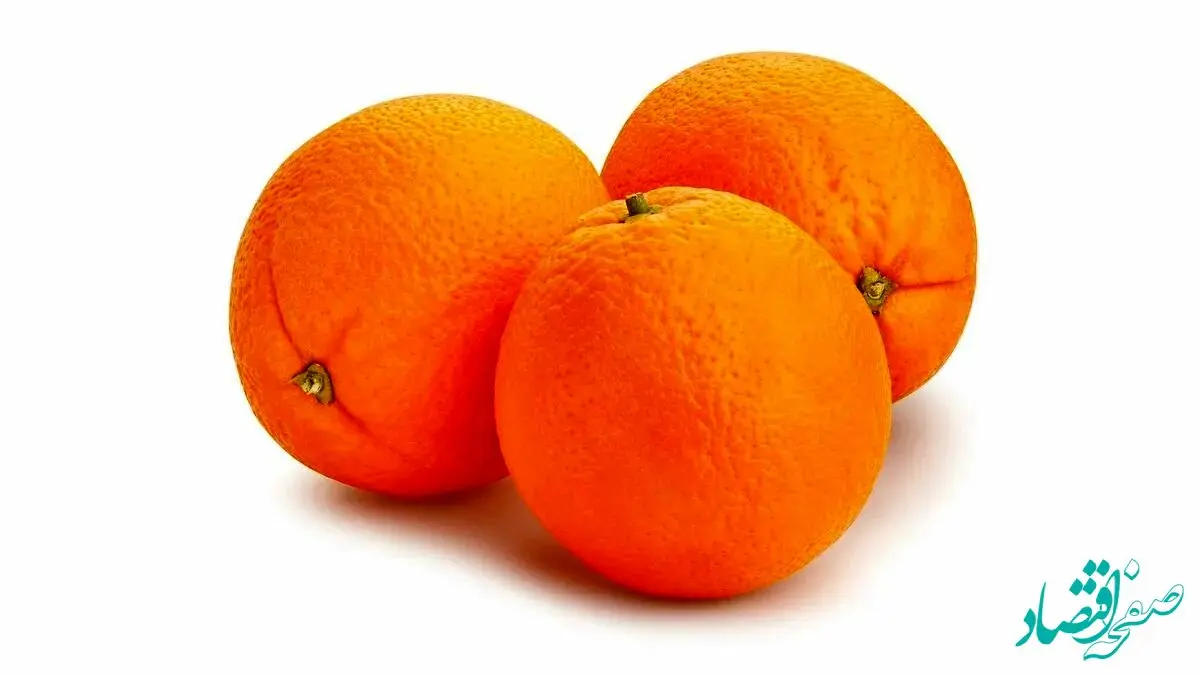 فوری | هشدار درباره پرتقال‌های ایران