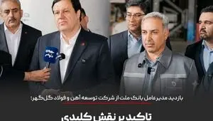 تاکید بر نقش کلیدی ابزارهای نوین مالی در تکمیل زنجیره فولاد