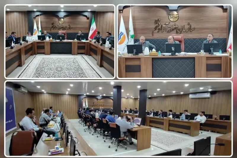 اختصاص 14 ون و مینی بوس برای حمل و نقل برون شهری جزیره قشم