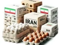 آتش زدن تخم مرغ‌های ایرانی در عراق |  فساد گسترده در صادرات تخم مرغ ایران