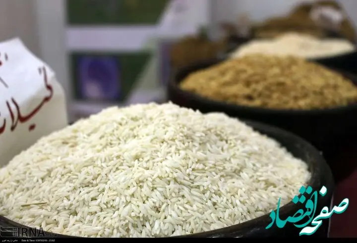 افزایش ۷۵ درصدی واردات برنج