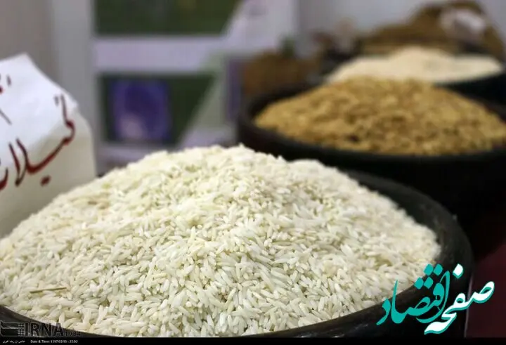 افزایش ۷۵ درصدی واردات برنج