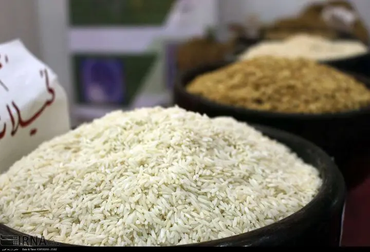 افزایش ۷۵ درصدی واردات برنج