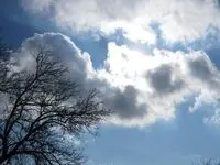 کرمانی ها بخوانید / هواشناسی کرمان: شدت غبار در استان از امروز کاسته می‌شود