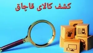 محموله کالاهای دخانی قاچاق  در این شهرستان توقیف شد 