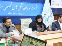 حمایت بیمه البرز از هنرمندان و تشکل های تخصصی صنایع دستی