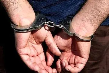 فوری / مفسد اقتصادی تحت تعقیب ایران در ترکیه دستگیر شد / 37 تن مانند تتلو تحویل ایران شدند