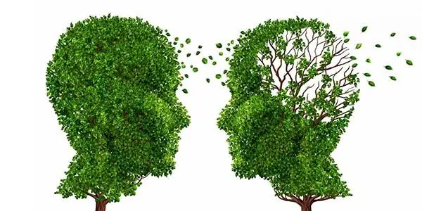 بخوانید | هر ۷ دقیقه در ایران به آلزایمر مبتلا می شود | چه چیزی به کاهش ریسک ابتلا به آلزایمر کمک می کند؟ 